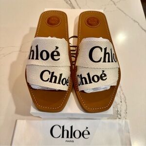 CHLOE Woody Flat Logo Ribbon Slide Sandals  (Size 40EU, US10) NIB